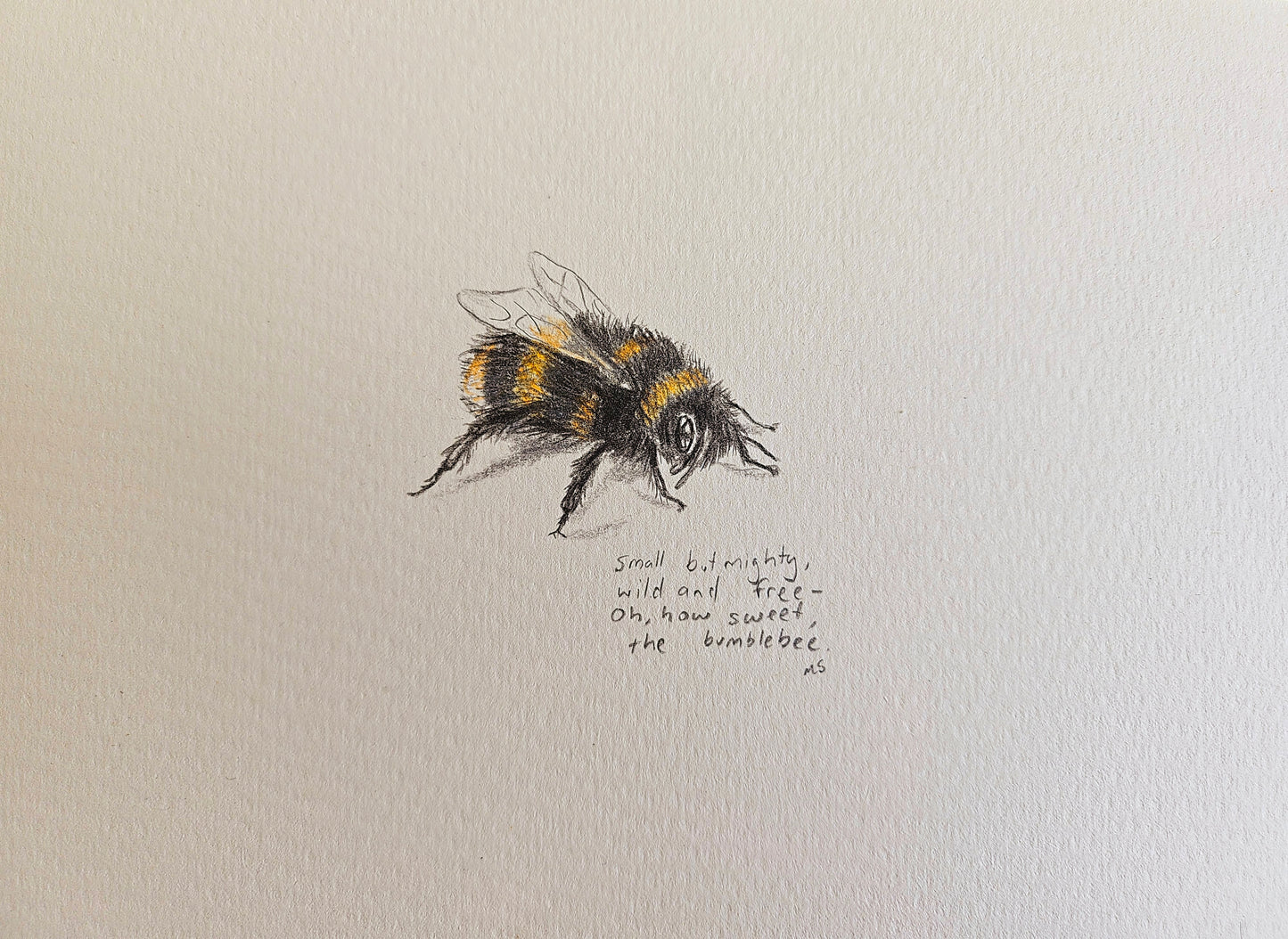 Sweet little bumblebee