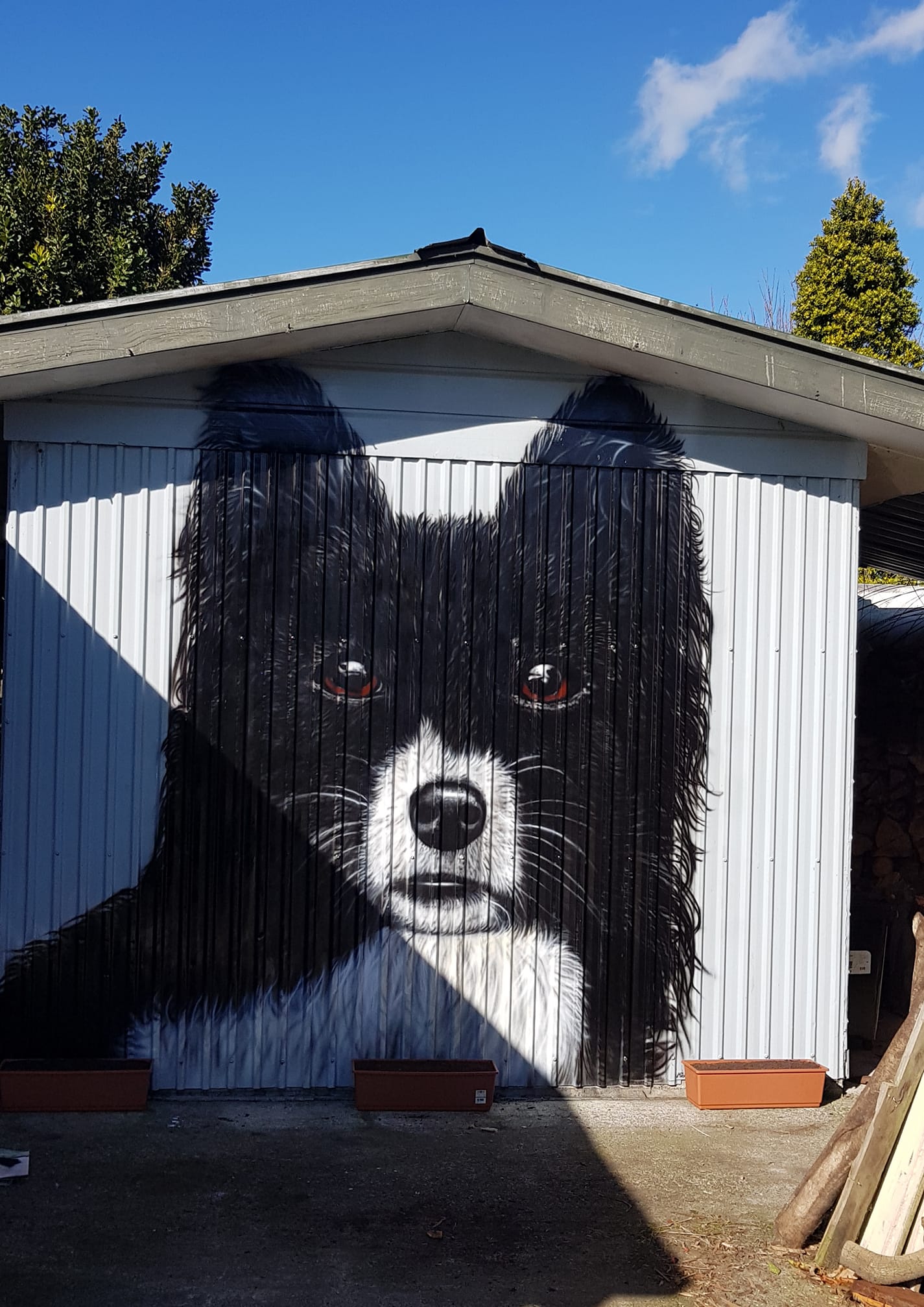 Pet Mural